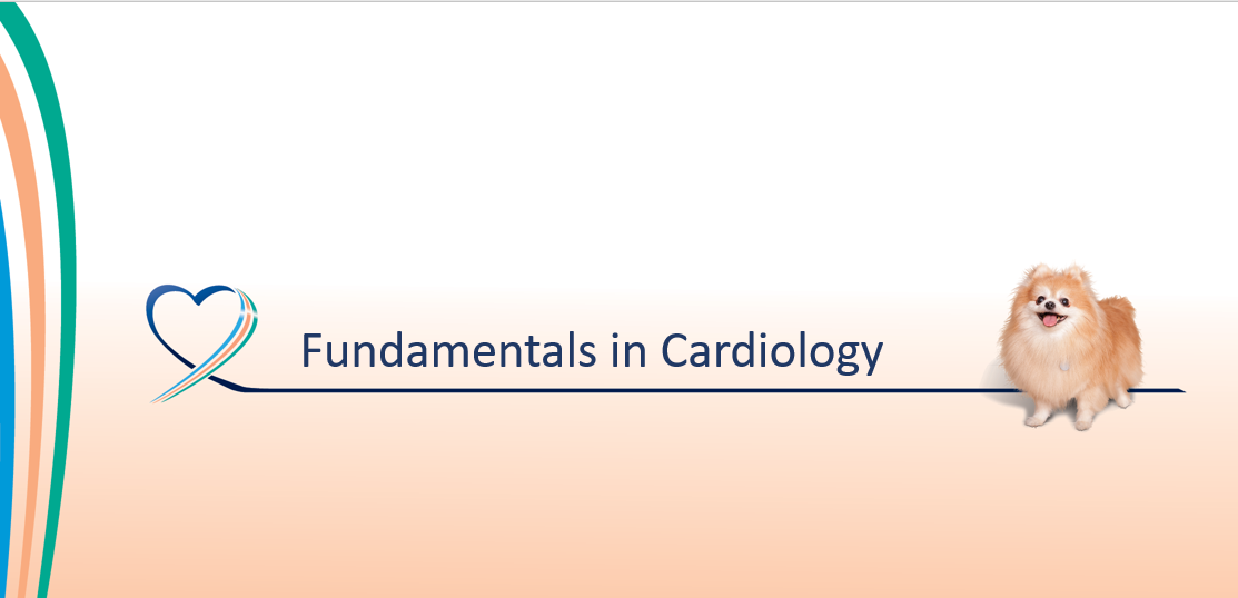 BannerforFundaofCardio