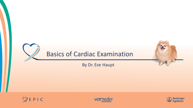 Basics of cardiac examination