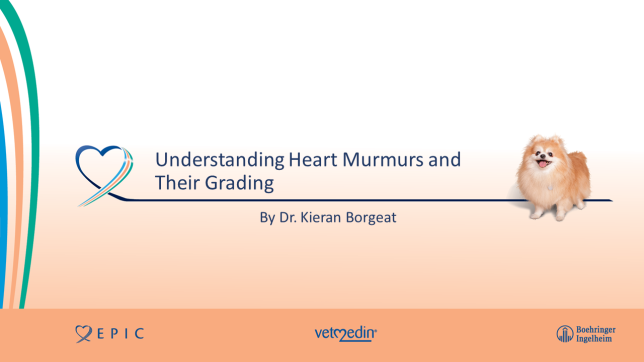Understanding heart murmurs and their grading