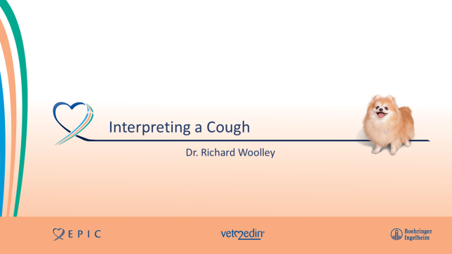 Interpreting a cough