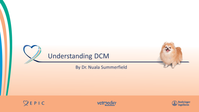 Understanding DCM