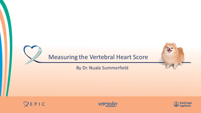 Measuring the Vertebral Heart Score